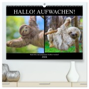 Cover-Bild zum Titel 'Hallo! Aufwachen! Kann bitte mal jemand das Faultier wecken? (hochwertiger Premium Wandkalender 2026 DIN A2 quer), Kunstdruck in Hochglanz' von 'Rose Hurley'