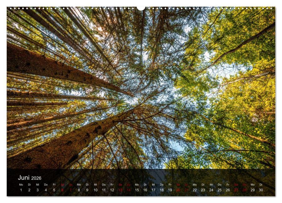 InsideView 10