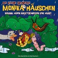 Cover-Bild zum Titel '49: Warum haben Nacktschnecken kein Haus?' von 'Die Kleine Schnecke Monika Häuschen'