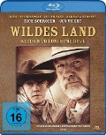 Cover-Bild zum Titel 'Wildes Land - Return to Lonesome Dove' von 'John Wilder, Ken Thorne'
