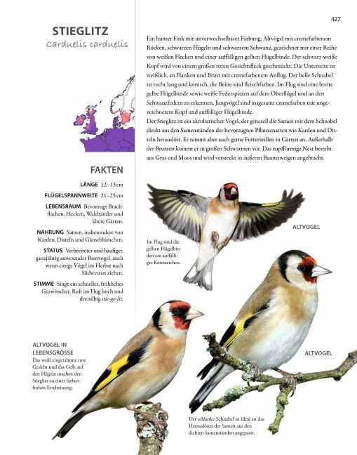 InsideView 12