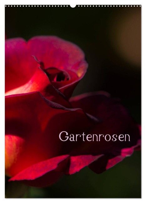Gartenrosen (Wandkalender 2026 DIN A2 hoch), CALVENDO Monatskalender - Erwin Renken