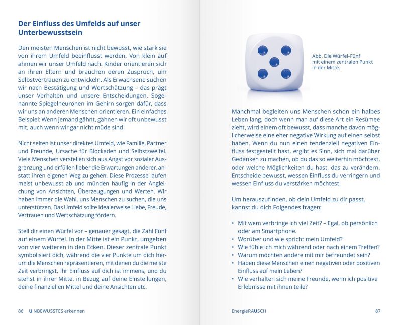 InsideView 5