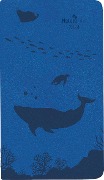 Taschenkalender Nature Line Ocean 2024 - Taschen-Kalender 9x15,6 cm - 1 Woche 2 Seiten - 128 Seiten - Umwelt-Kalender - mit Hardcover - Alpha Edition - 