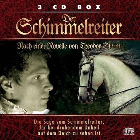 Der Schimmelreiter - Theodor Storm