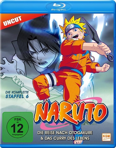 Naruto - Marc Handler, Akatsuki Yamatoya, Masashi Kishimoto, Steve Blum, Liam Obrien