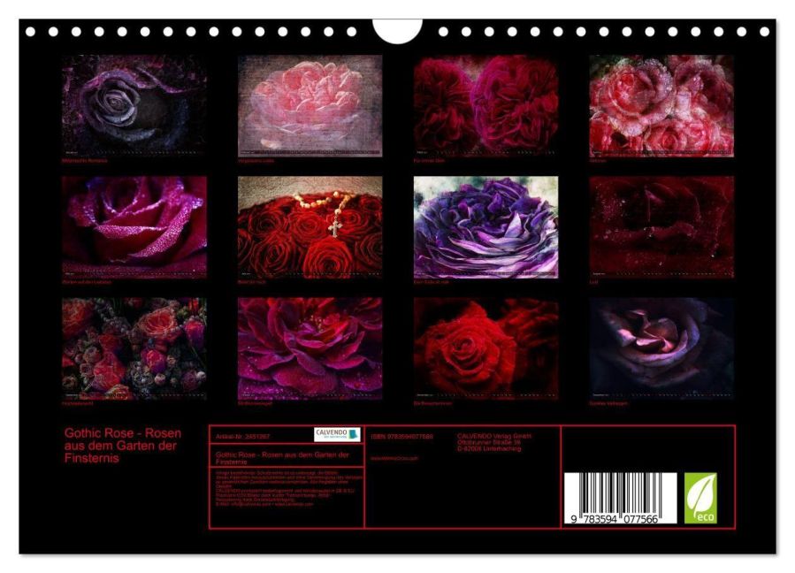 InsideView 5