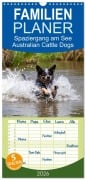 Familienplaner 2026 - Spaziergang am See Australian Cattle Dogs mit 5 Spalten (Wandkalender, 21 x 45 cm) CALVENDO - Fotodesign Verena Scholze