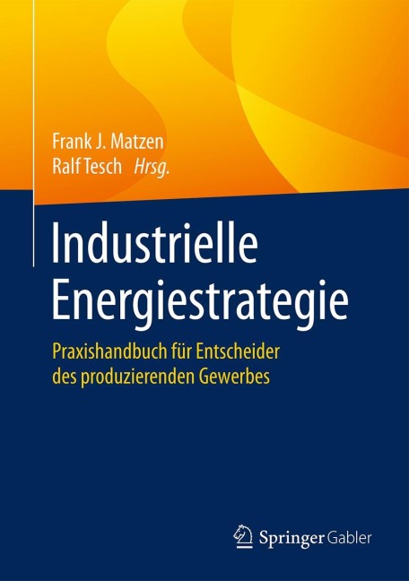 Industrielle Energiestrategie - 