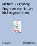 Programmieren in Java für Fortgeschrittene - Michael Ziegenbalg
