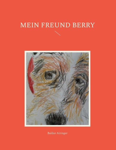 Mein Freund Berry - Baldur Airinger