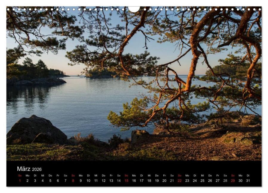 InsideView 8