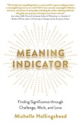 Cover-Bild zum Titel 'Meaning Indicator' von 'Michelle Hollingshead'