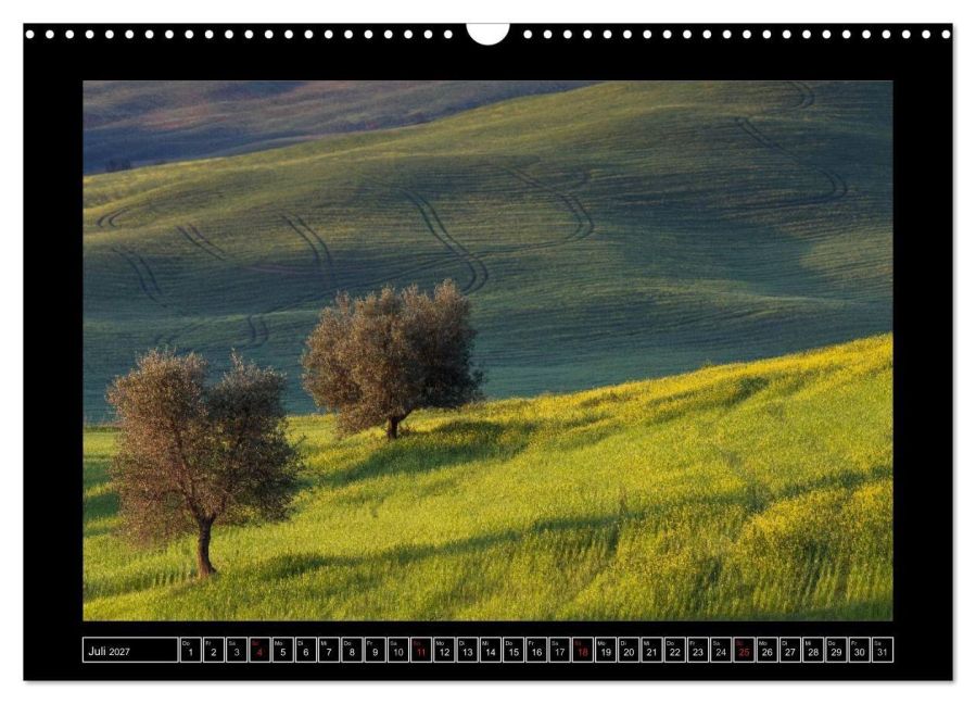 InsideView 12