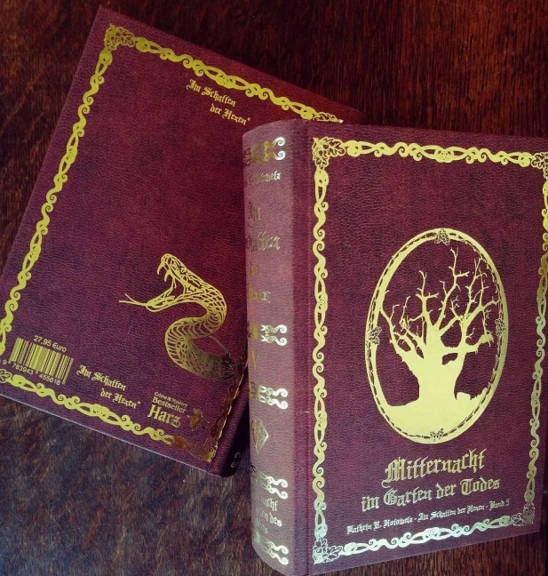 Im Schatten der Hexen V - Kathrin R. Hotowetz