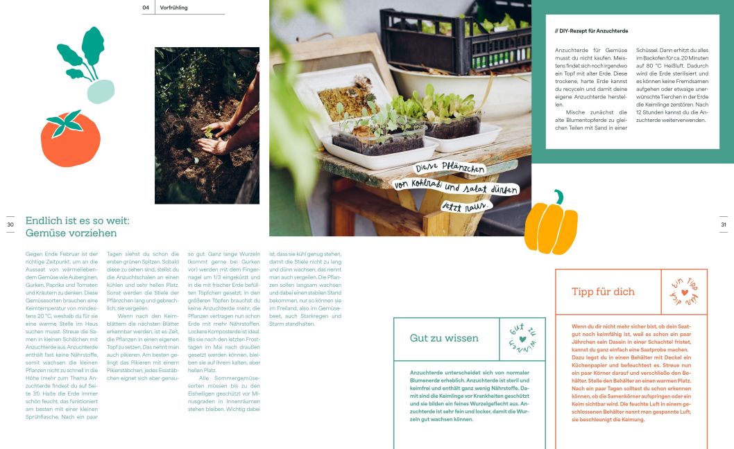 InsideView 6
