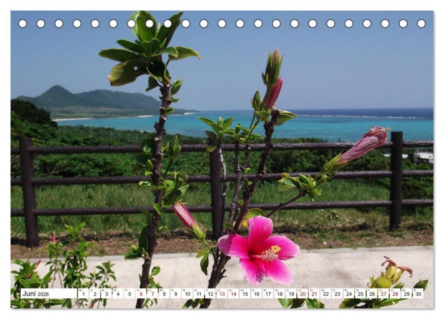 InsideView 11