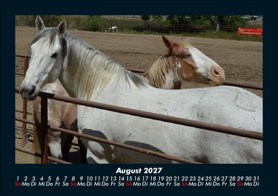 InsideView 12