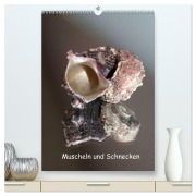 Cover-Bild zum Titel 'Muscheln und Schnecken (hochwertiger Premium Wandkalender 2026 DIN A2 hoch), Kunstdruck in Hochglanz' von 'Christine Daus'