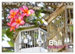Cover-Bild zum Titel 'Bali (Tischkalender 2026 DIN A5 quer), CALVENDO Monatskalender' von 'Katja Baumgartner'