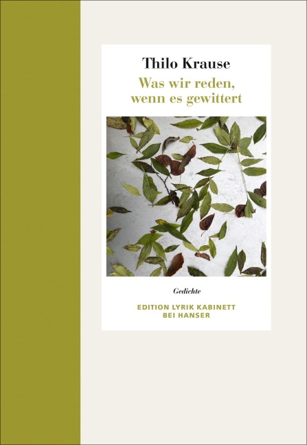 Was wir reden, wenn es gewittert - Thilo Krause