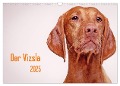 Der Vizsla 2025 (Wandkalender 2025 DIN A3 quer), CALVENDO Monatskalender - Susanne Stark
