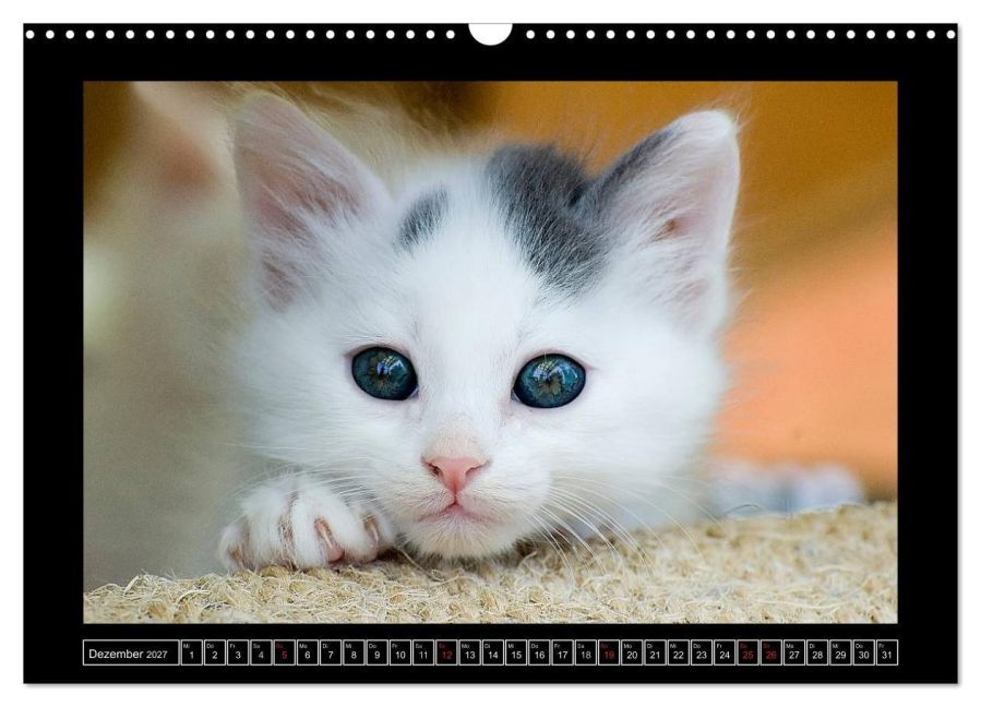 InsideView 4