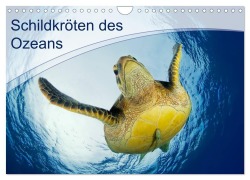 Cover-Bild zum Titel 'Schildkröten des Ozeans (Wandkalender 2027 DIN A4 quer), CALVENDO Monatskalender' von 'Henry Jager'