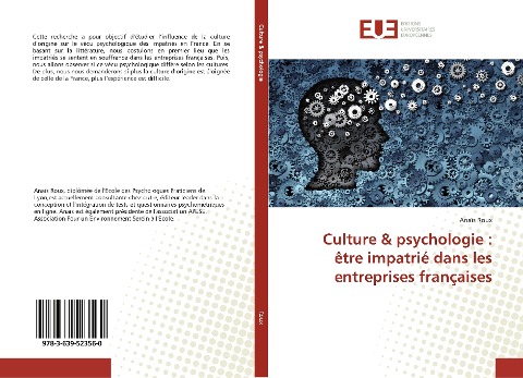 Culture & psychologie : être impatrié dans les entreprises françaises - Anaïs Roux