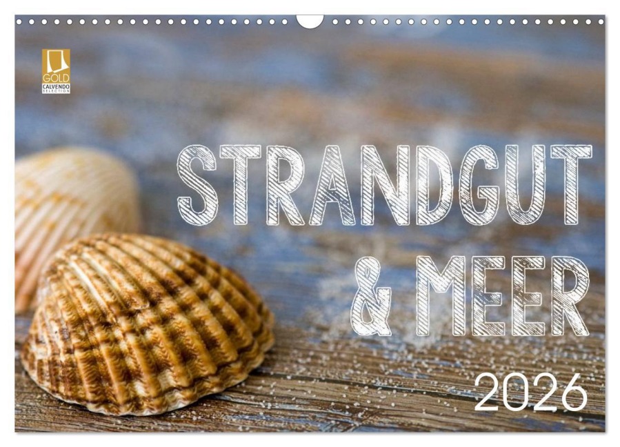 Strandgut und Meer 2026 (Wandkalender 2026 DIN A3 quer), CALVENDO Monatskalender - Andrea Haase