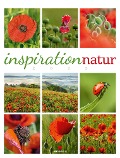 Inspiration Natur Kalender 2025 - Ackermann Kunstverlag