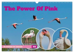 Cover-Bild zum Titel 'The Power Of Pink (Wandkalender 2026 DIN A3 quer), CALVENDO Monatskalender' von 'Andreas Freund'