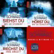 Cover-Bild zum Titel 'Rubens und Wittmann - Thriller-Sammelband 1-3 - Rubens & Wittmann' von 'Gunnar Schwarz'