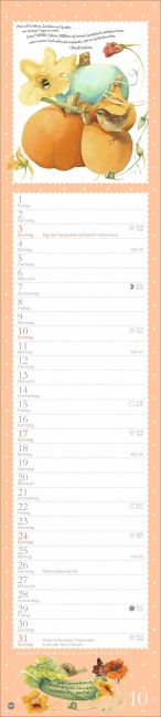 InsideView 10