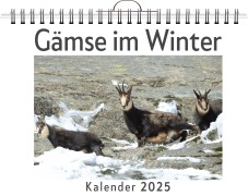Cover-Bild zum Titel 'Gämse im Winter' von 'Noah Möller'