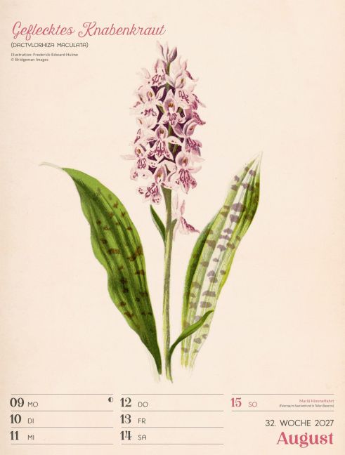 InsideView 36