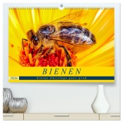 BIENEN - Kleine Nützlinge ganz groß (hochwertiger Premium Wandkalender 2026 DIN A2 quer), Kunstdruck in Hochglanz - Andrea Dreegmeyer