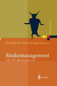 Risikomanagement in IT-Projekten - 