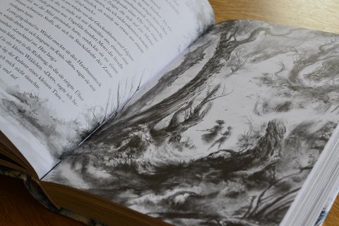 InsideView 12