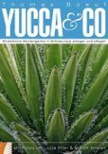 Yucca & Co - Thomas Boeuf