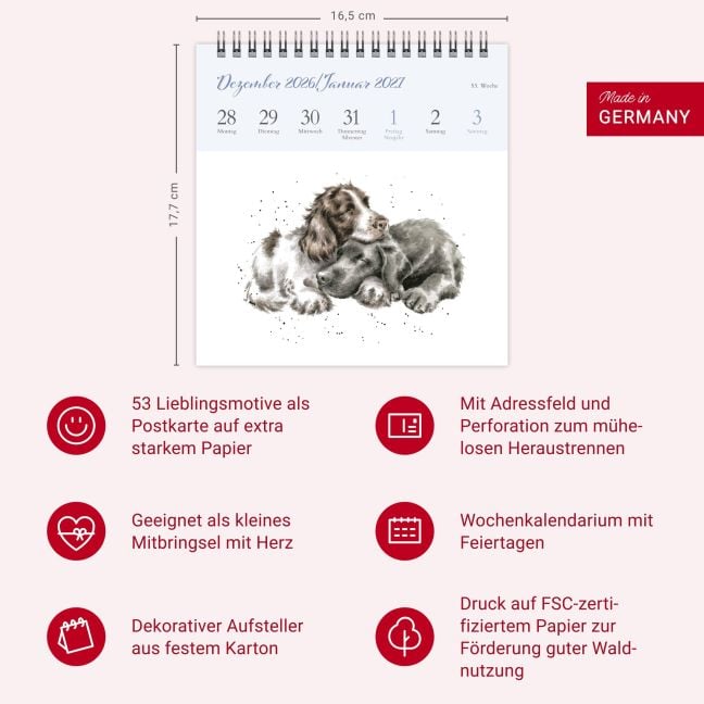 InsideView 13