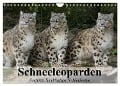 Schneeleoparden. Perfekte Raubkatzen-Schönheiten (Wandkalender 2024 DIN A4 quer), CALVENDO Monatskalender - Elisabeth Stanzer