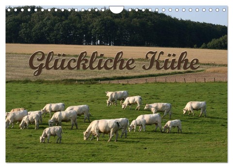 Glückliche Kühe (Wandkalender 2024 DIN A4 quer), CALVENDO Monatskalender - Antje Lindert-Rottke