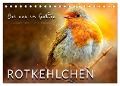 Bei uns im Garten - Rotkehlchen (Tischkalender 2024 DIN A5 quer), CALVENDO Monatskalender - Peter Roder