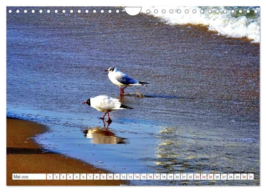 InsideView 10