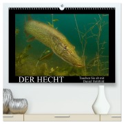 Cover-Bild zum Titel 'Der Hecht - Tauchen Sie ab mit Daniel Hohlfeld (hochwertiger Premium Wandkalender 2026 DIN A2 quer), Kunstdruck in Hochglanz' von 'Daniel Hohlfeld'