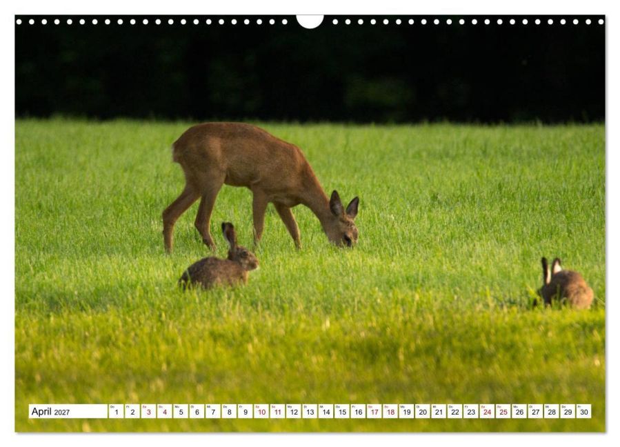 InsideView 9