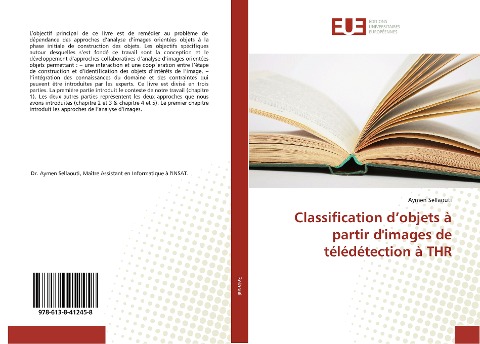 Classification d¿objets à partir d'images de télédétection à THR - Aymen Sellaouti