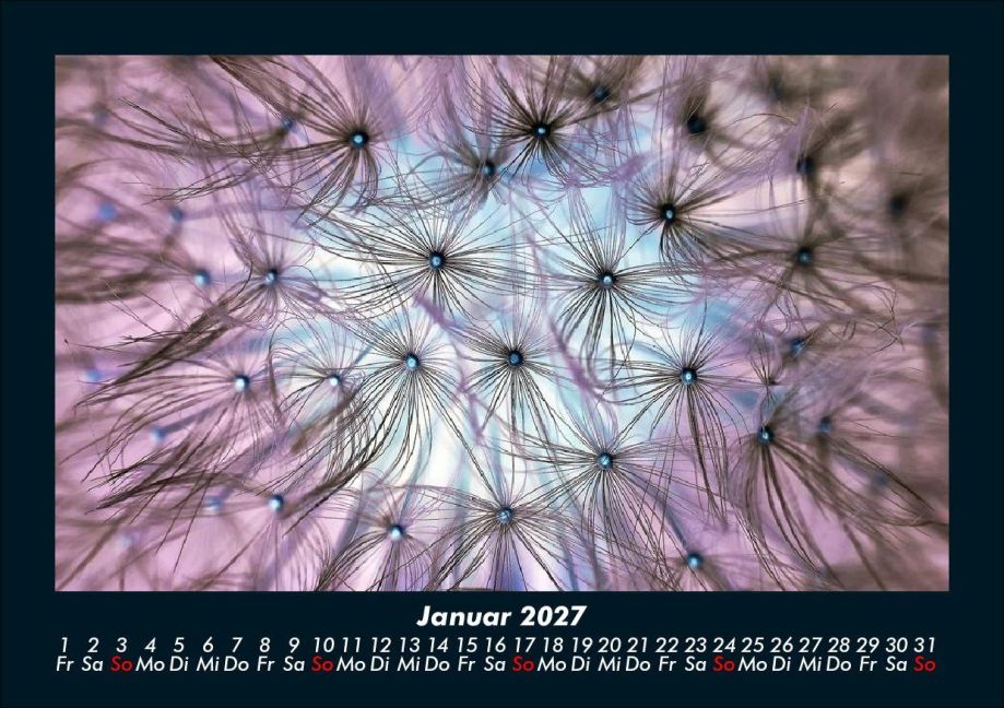 InsideView 5