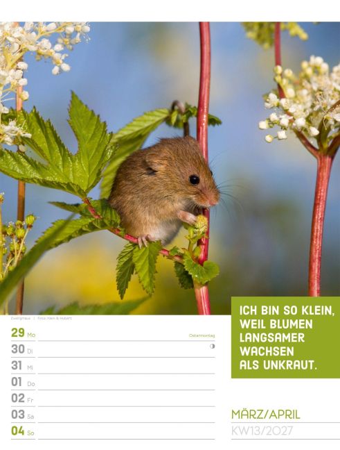 InsideView 17